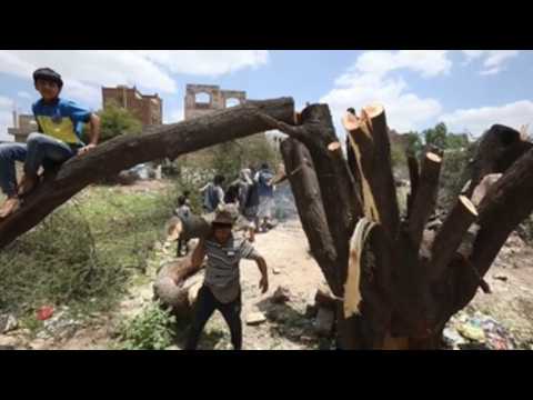 Yemenis collect firewood amid propane gas shortage