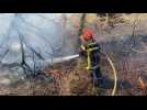 Firefighters douse burnt woodland in France's south