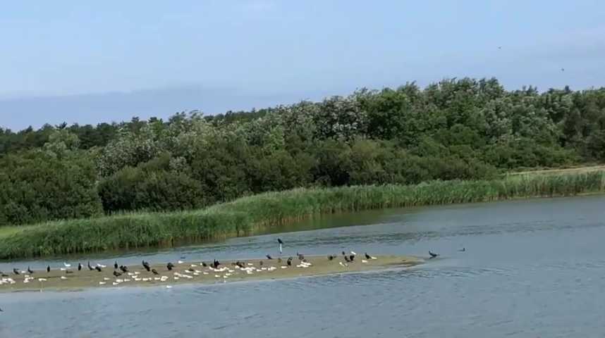 Comme une impression de bout du monde autour du Marquenterre
