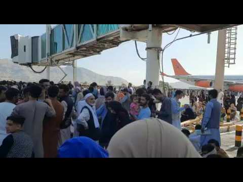 Desperate crowds gather at Kabul airport