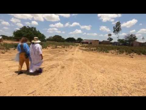 Colombia’s Wayuu fight pandemic with herbs