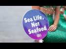 PETA serves vegan fish tacos in Santa Monica to raise awareness about sea animals