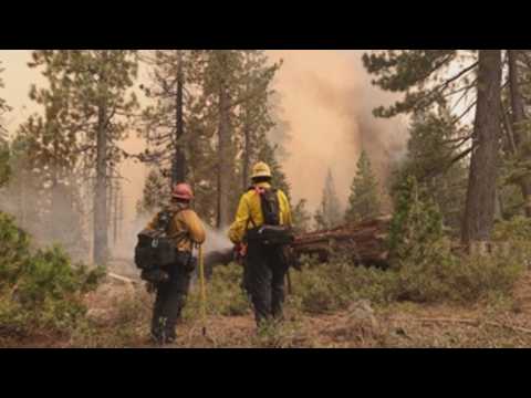 Firefighters work to contain Caldor fire in Meyers, California