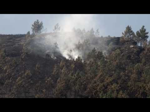 Authorities successfully control forest fire in northwestern Spain