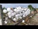 Des ballons et des fleurs pour Aaron et Evan à Moreuil