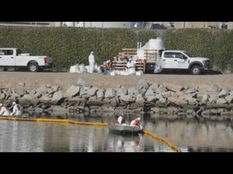 Large oil spill fouls Southern California beaches, threatens wildlife