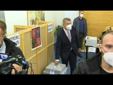 Czech Prime Minister Andrej Babis votes in general election
