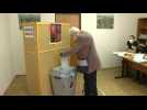 Polling stations open in Czech elections