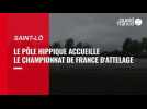 VIDEO. Le championnat de France d'attelage est lancé à Saint-Lô