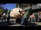 Une citrouille de plus de 900 kg couronnée aux Etats-Unis