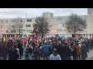 Calais : la géante Amal accueillie par des centaines de personnes