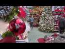 Les décorations de Noël à la jardinerie de Trouville-Alliquerville