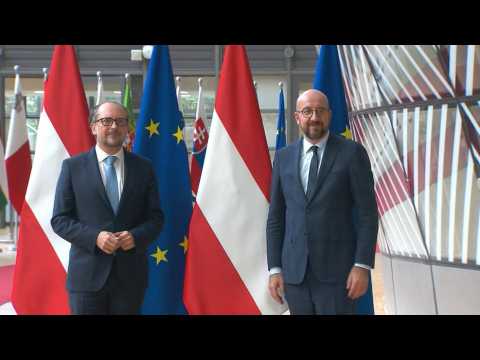 New Austrian Chancellor Schallenberg meets with EU Council President Michel