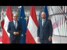 New Austrian Chancellor Schallenberg meets with EU Council President Michel