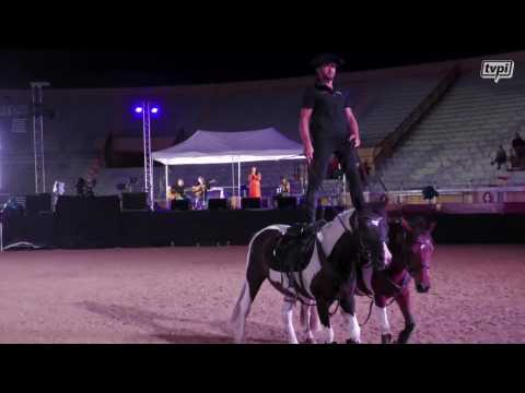 Le pottok à l'honneur à Bayonne