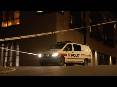 VIDEO : Norvège : cinq personnes tuées par un homme armé d?un arc