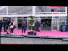 Le 36eme FIFF a ouvert ses portes