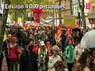 Près de 4000 manifestants à Toulouse