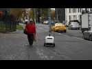 Robots in Russia deliver food at home