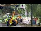 Travaux passerelle Mont-Olympe; Travaux passerelle Mont-Olympe