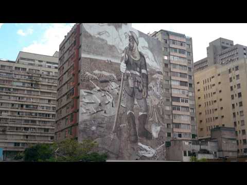 Amazon rainforest ashes paint Sao Paulo mural