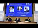 Le Nobel d'économie attribué à David Card, Joshua Angrist et Guido Imbens