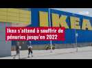 VIDÉO. Ikea s'attend à souffrir de pénuries jusqu'en 2022