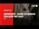 VIDEO. Zoothérapie : quand les animaux soulagent nos maux