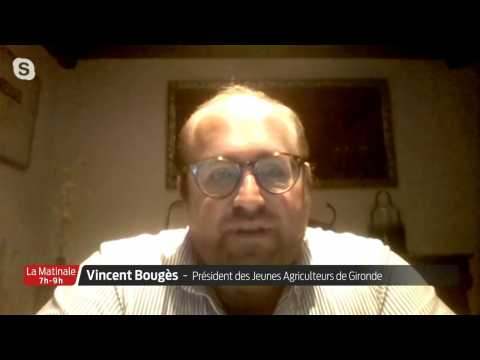 La Matinale | L'invité | Vincent Bougès, président des Jeunes Agriculteurs de Gironde