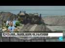 Marée noire en Californie : les autorités déplorent 