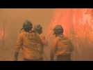 Argentine : la province de Cordoba en proie à des incendies