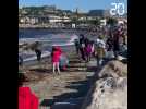 Plus de 500 personnes ramassent les déchets sur les plages de Marseille