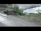 Ardennes: effondrement de la route au niveau du pont des vieilles Forges