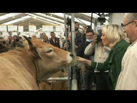 France's far-right leader Le Pen attends livestock trade fair