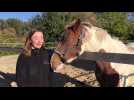 Wervicq-sud : Lola a lancé son entreprise de massage pour chevaux