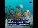 RD 6098 - projet digue 