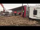 Un camion de betteraves se renverse route de Suippes, près de Prunay