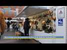 Toulouse : bilan mitigé pour le marché de Noël du Capitole
