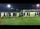 entrainement zèbres