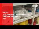 VIDEO. À l'ancien Flunch de Brest, les vaccins ont remplacé les plateaux-repas