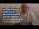 Le Pape François incite à avoir des enfants plutôt que des animaux