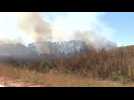 Firefighters battle forest fire near Buenos Aires
