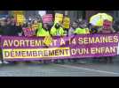Paris: manifestation contre l'allongement de la durée légale de l'avortement
