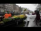 Pays-Bas : distribution gratuite de bouquets pour la journée nationale de la tulipe