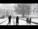 Tempête de neige: Washington recouverte d'un manteau blanc