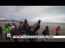 Trail D2B : la course le long de la Côte d'Opale