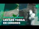 Les images des îles Tonga avant et après l'éruption du volcan