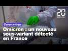 Coronavirus: Un nouveau sous-variant d'Omicron détecté en France