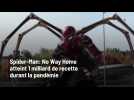 Vido Spider-Man: No Way Home atteint 1 milliard de recette durant la pandmie