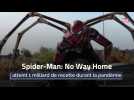 Spider-Man: No Way Home atteint 1 milliard de recette durant la pandémie